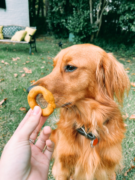 Peanut Butter and Pumpkin Homemade Dog Treat 20-24 Count