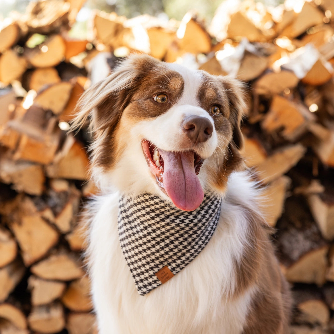 Houndstooth Flannel Dog Bandana