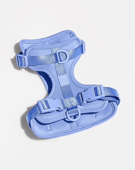 Medium Adjustable Comfort Dog Harness